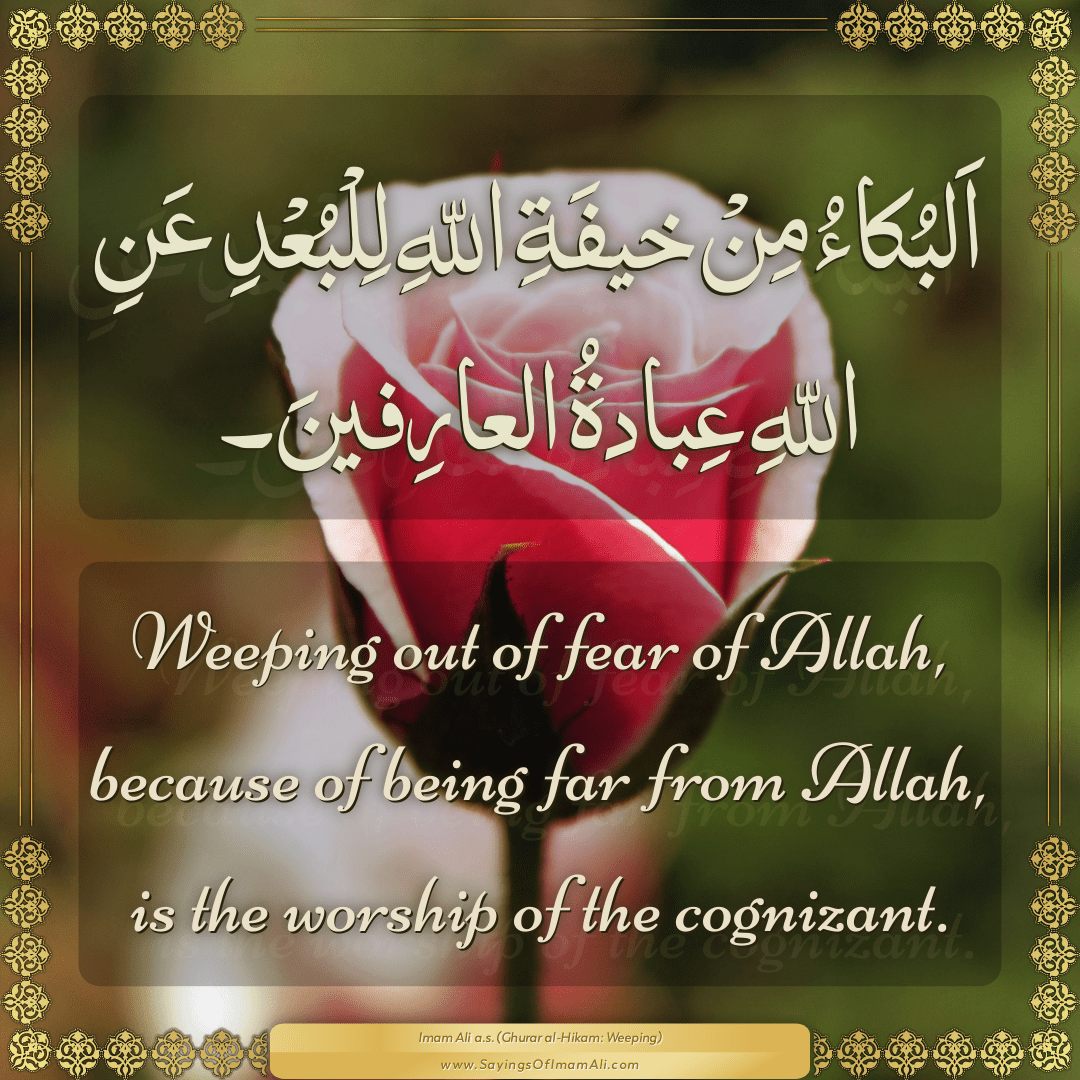 Weeping out of fear of Allah, because of being far from Allah, is the...
